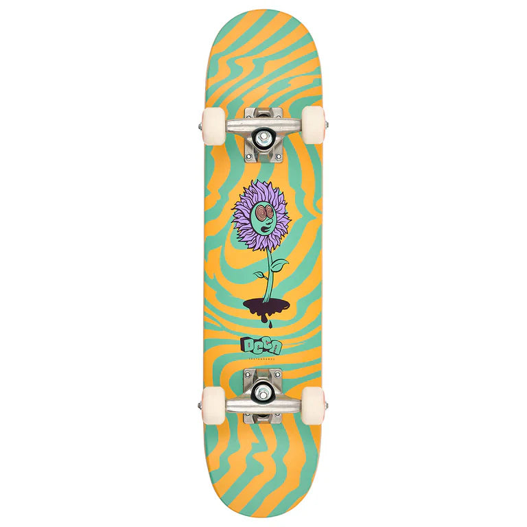 Completes – Fusion Skate